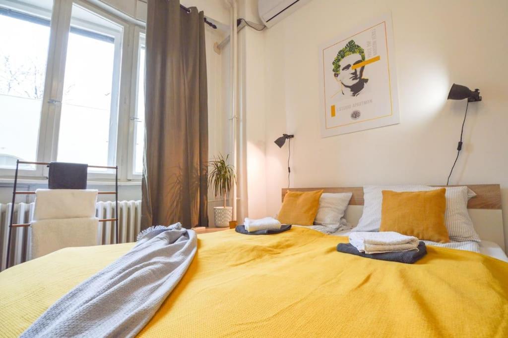 Pavla Papa Studio - Bright & Central Apartment โนวีซาด ภายนอก รูปภาพ