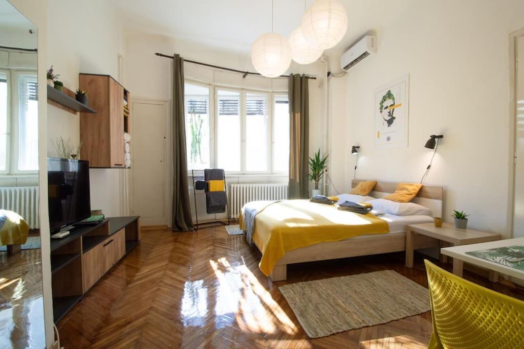 Pavla Papa Studio - Bright & Central Apartment โนวีซาด ภายนอก รูปภาพ