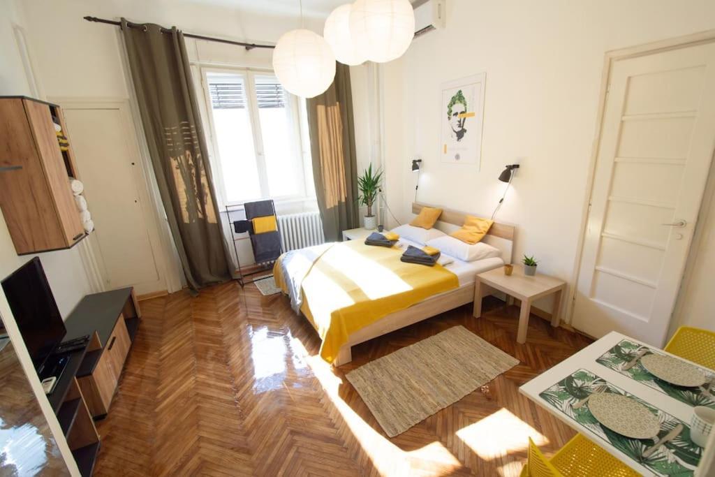 Pavla Papa Studio - Bright & Central โนวีซาด ภายนอก รูปภาพ