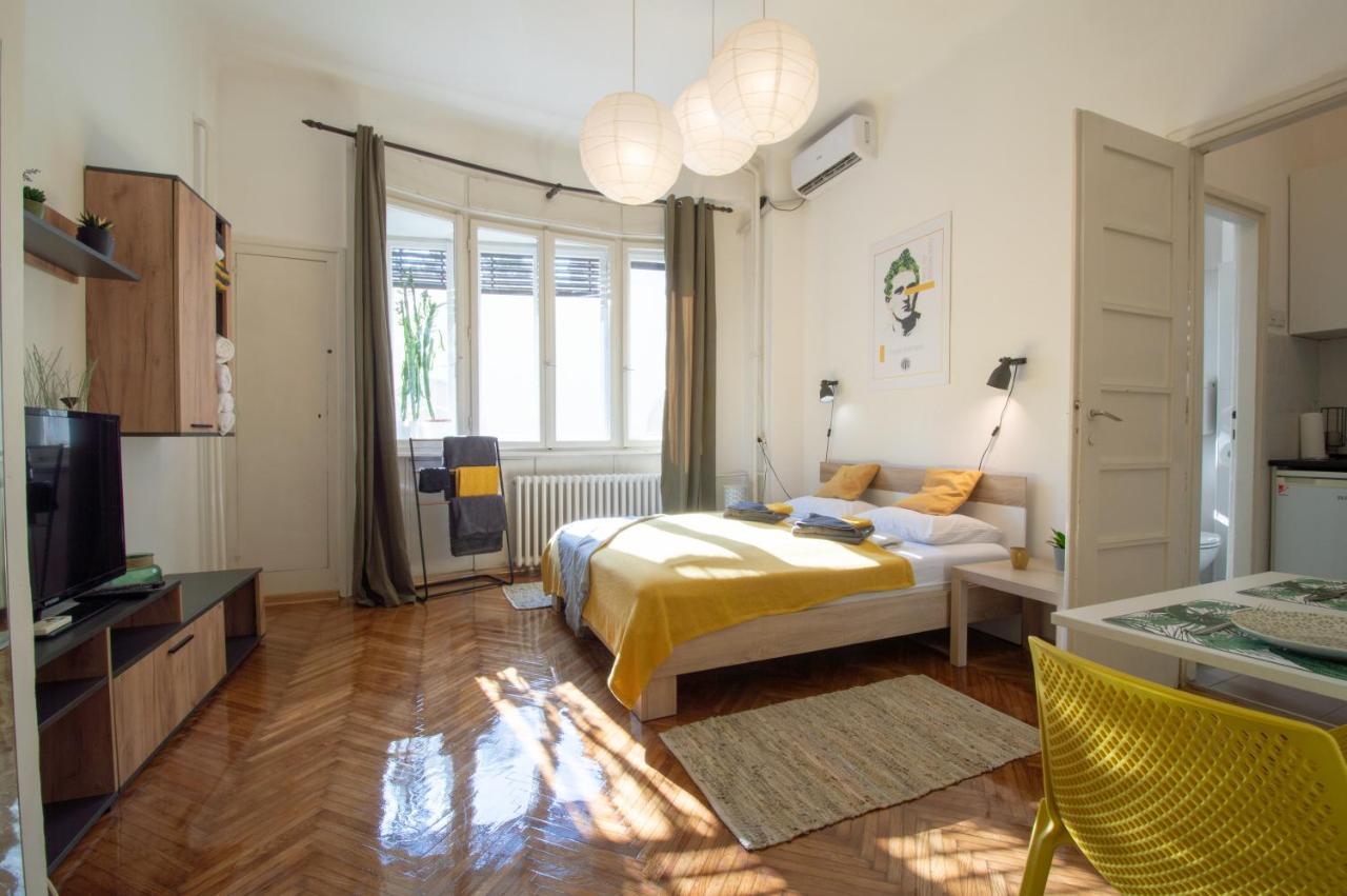 Pavla Papa Studio - Bright & Central Apartment โนวีซาด ภายนอก รูปภาพ