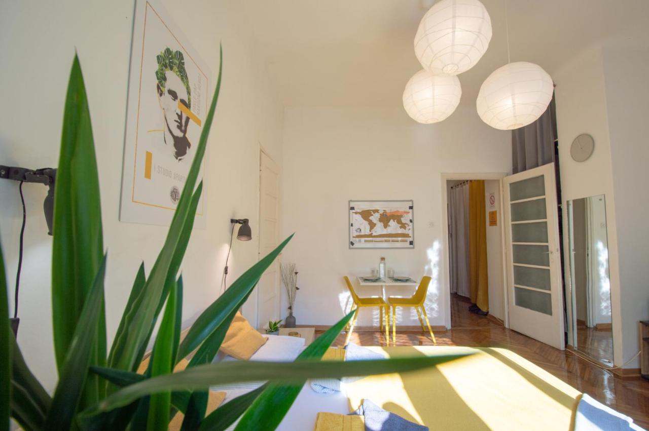 Pavla Papa Studio - Bright & Central Apartment โนวีซาด ภายนอก รูปภาพ